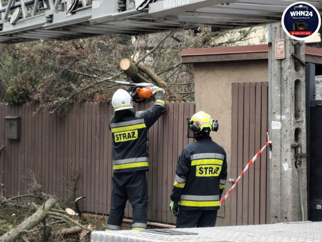 Powalone drzewa i awarie prądu w części województwa