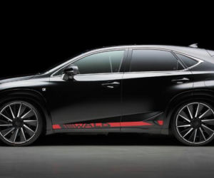 Lexus NX by Wald International