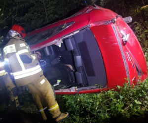 Tragiczny wypadek pod Ciechanowem! 18-latek nie żyje, a 18-latka ciężko ranna po zderzeniu z łosiem