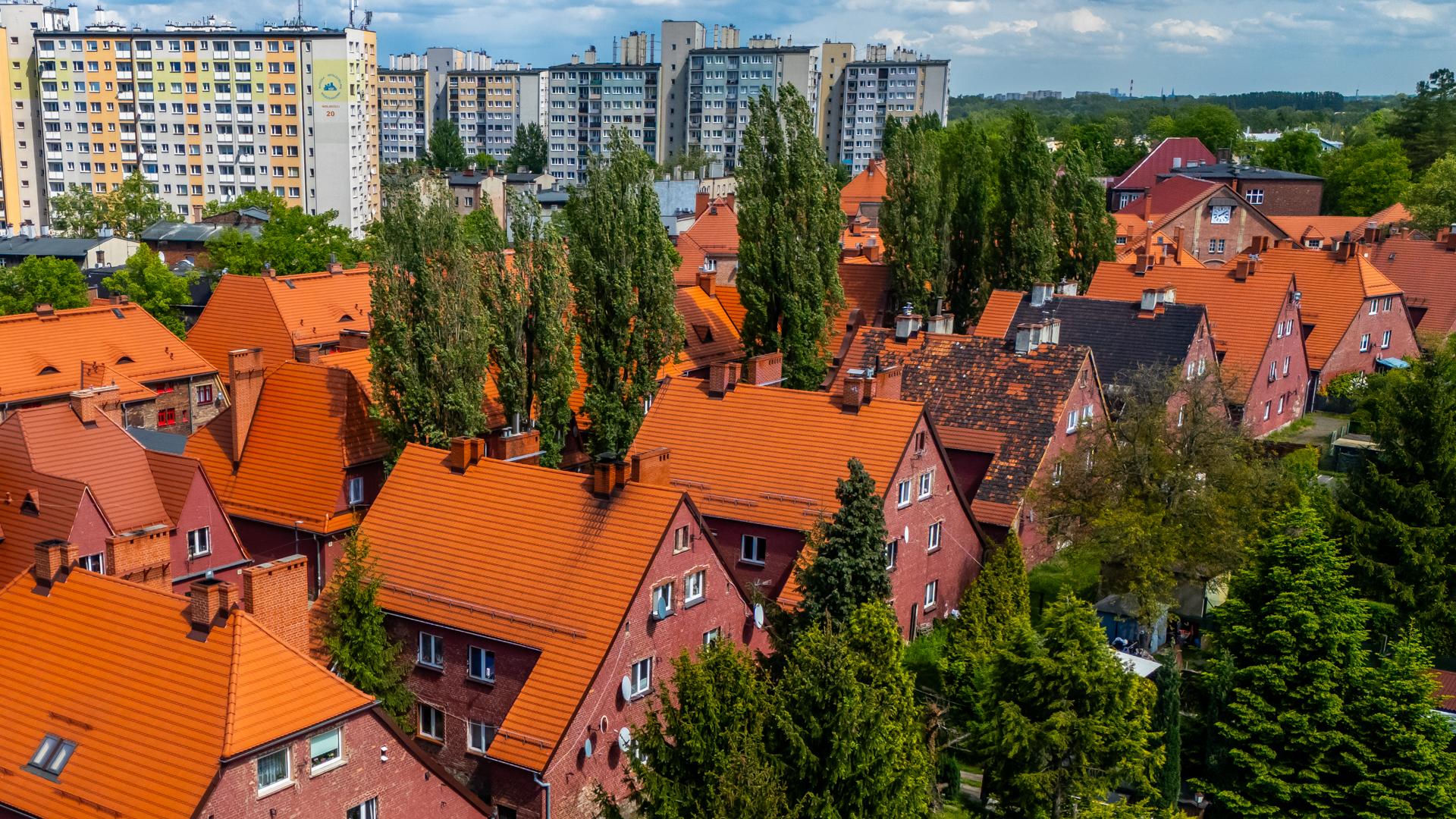 Kolonia Staszica w Rudzie Śląskiej