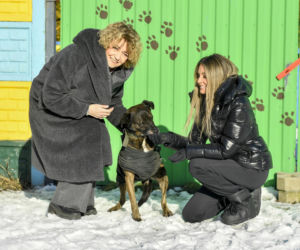 Małgorzata Rozenek-Majdan odwiedziła schronisko w Łodzi