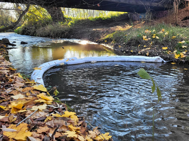 Na Białusze w Krakowie pojawiły się łapacze śmieci