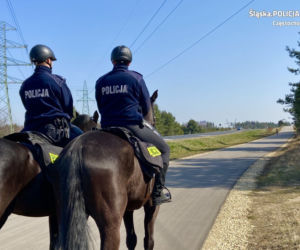 Policjanci czujni w dobie epidemii. Tak patrolują ulice miast Śląska i Zagłębia [ZDJĘCIA]