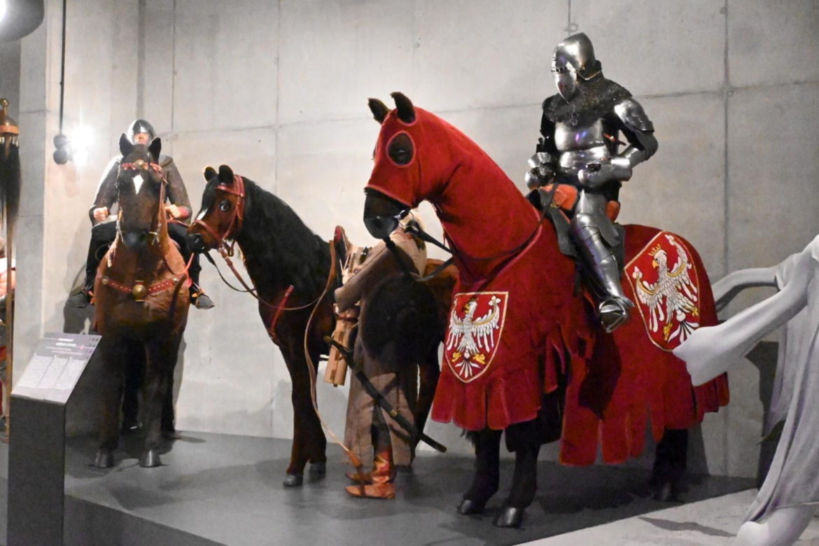 Groty strzał, topory bojowe i numizmaty. Muzeum Bitwy pod Grunwaldem chwali się odkryciami [ZDJĘCIA]