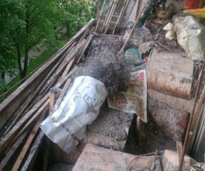Przerażające odkrycie w Krakowie: Padłe gołębie i metrowa warstwa ptasich odchodów na balkonie [AUDIO, ZDJĘCIA]