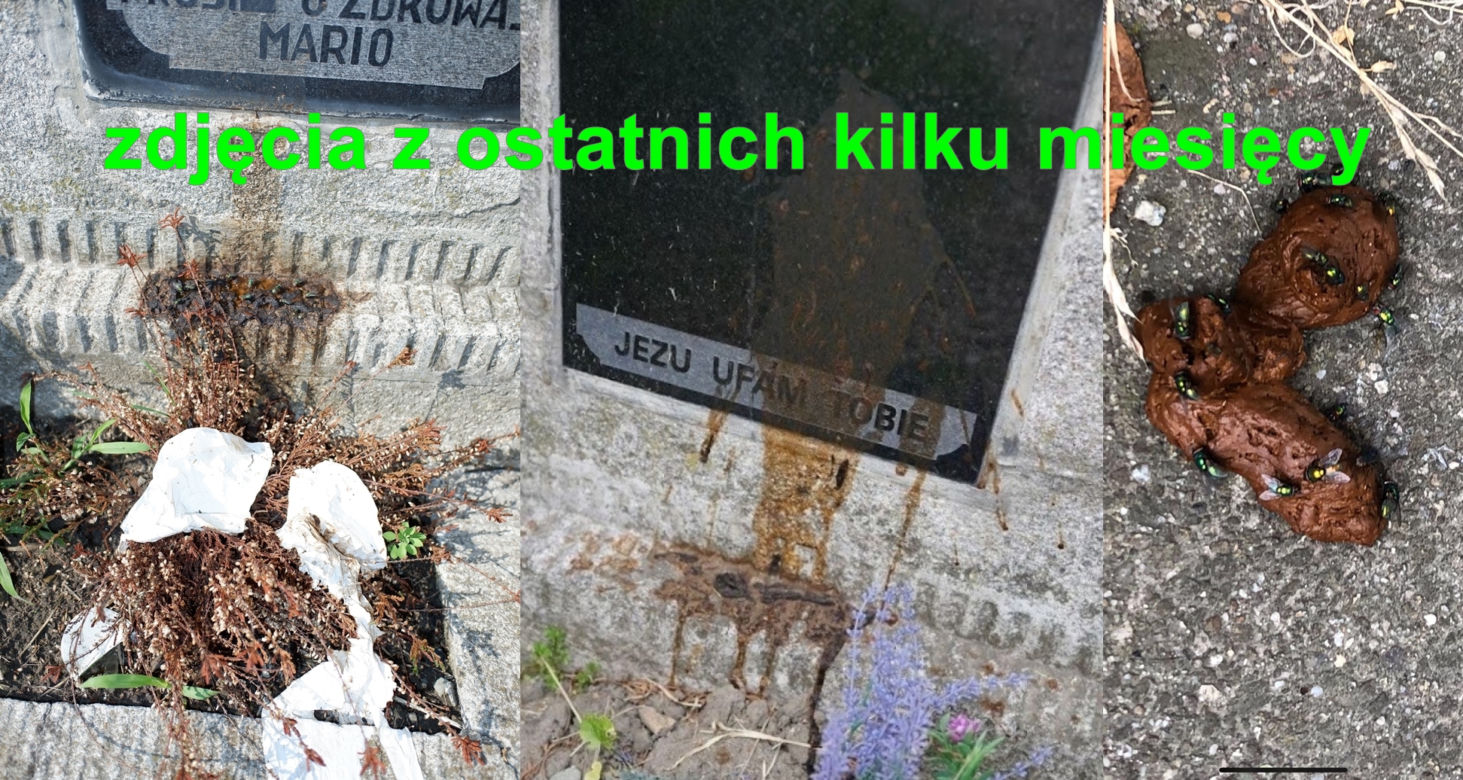 Pan Waldemar: Menele robią kupę na mój grób rodzinny