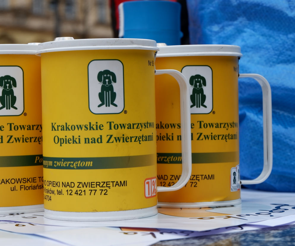 Oprócz pieniędzy, chętni oddawali m.in. koce, karmę czy zabawki