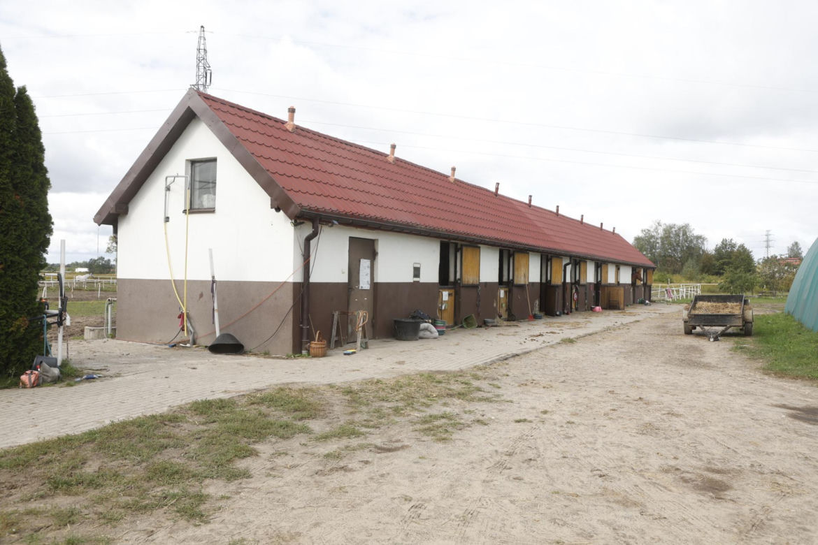 Stadnina koni