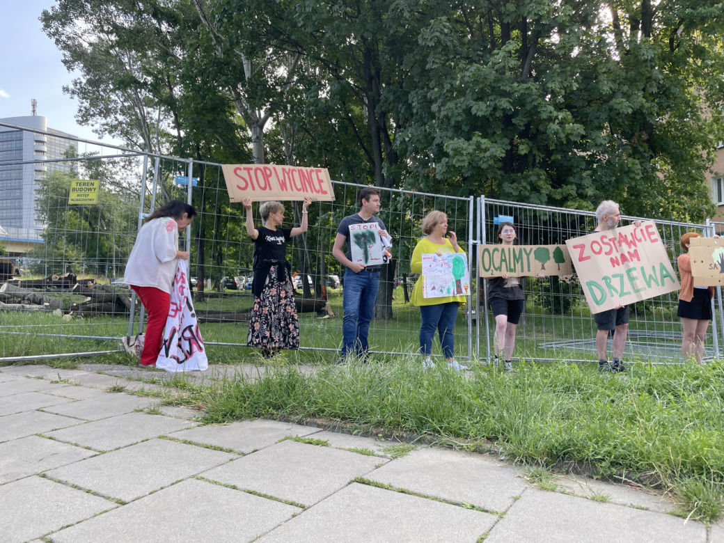 Linia tramwajowa do Mistrzejowic. Protest ws. wycinki drzew w Krakowie