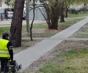 koszą trawę, której nie ma