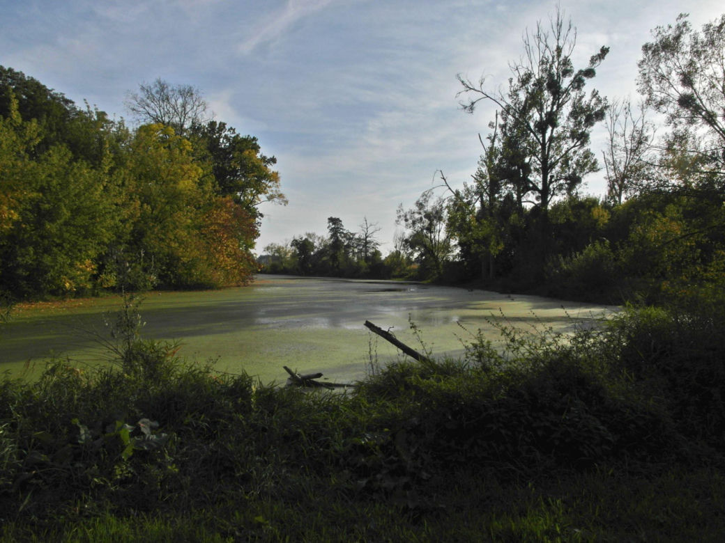 Brochów