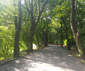 Park Zamkowy i Promenada w Mysłowicach