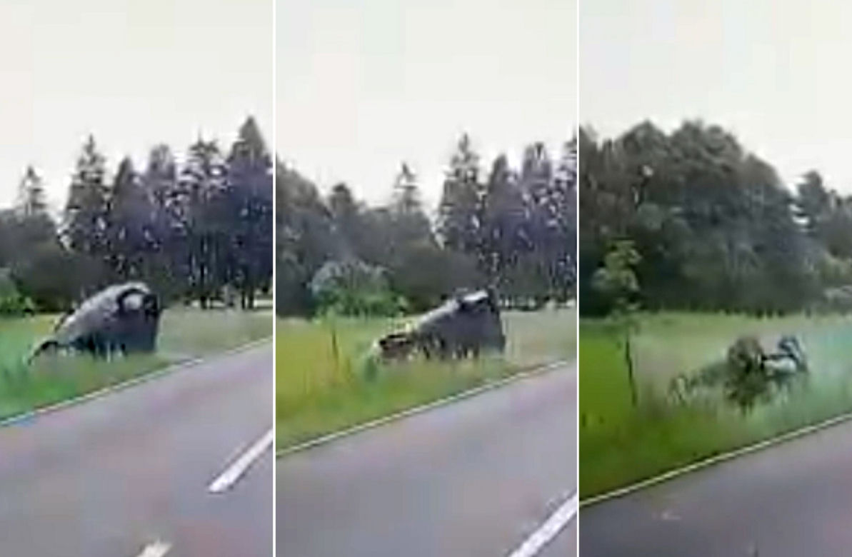 Niesłychany wypadek na trasie Mława-Ciechanów! Zachowanie pijanego kierowcy audi uchwyciła kamera [ZDJĘCIA].