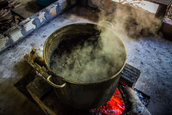 Przygotowali napój indiańskich szamanów. Za rytuał ayahuasca małżeństwu grozi wiele lat więzienia
