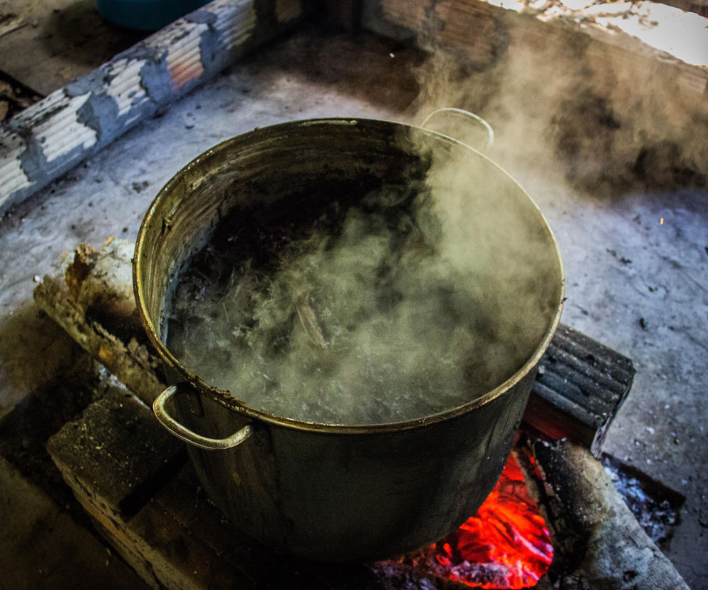 Przygotowali napój indiańskich szamanów. Za rytuał ayahuasca małżeństwu grozi wiele lat więzienia