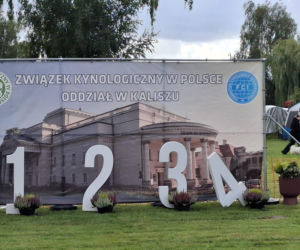 Psie piękności królują w Kaliszu