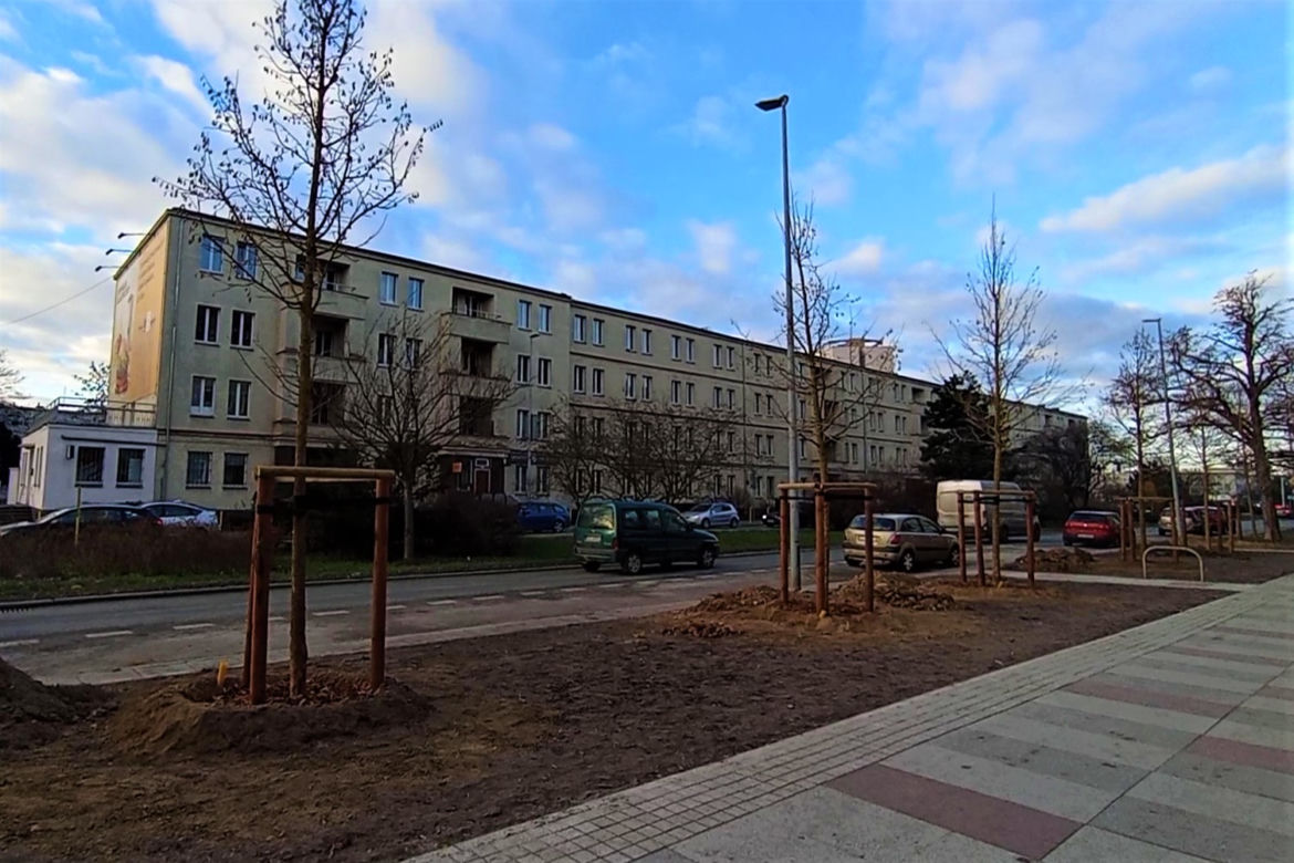 Drzewa powróciły na aleję Bohaterów Warszawy