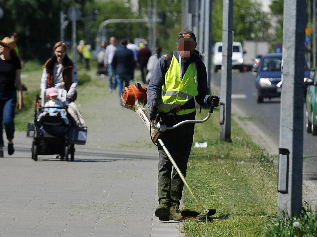 Warszawa wraca do koszenia trawników. Wielka akcja w Warszawie