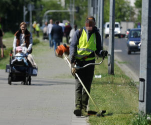 Warszawa wraca do koszenia trawników. Wielka akcja w Warszawie