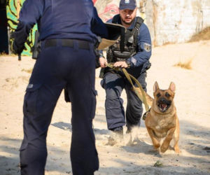 Nowy „funkcjonariusz” na czterech łapach zasilił szeregi policji w Lęborku