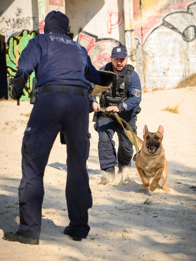 Nowy „funkcjonariusz” na czterech łapach zasilił szeregi policji w Lęborku