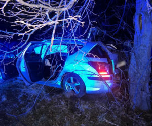 Pościg pod Białymstokiem. Pijany kierowca z dożywotnim zakazem zakończył ucieczkę na drzewie