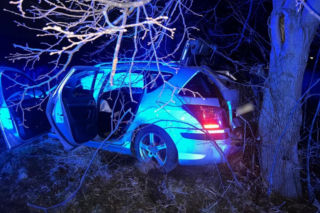 Pościg pod Białymstokiem. Pijany kierowca z dożywotnim zakazem zakończył ucieczkę na drzewie