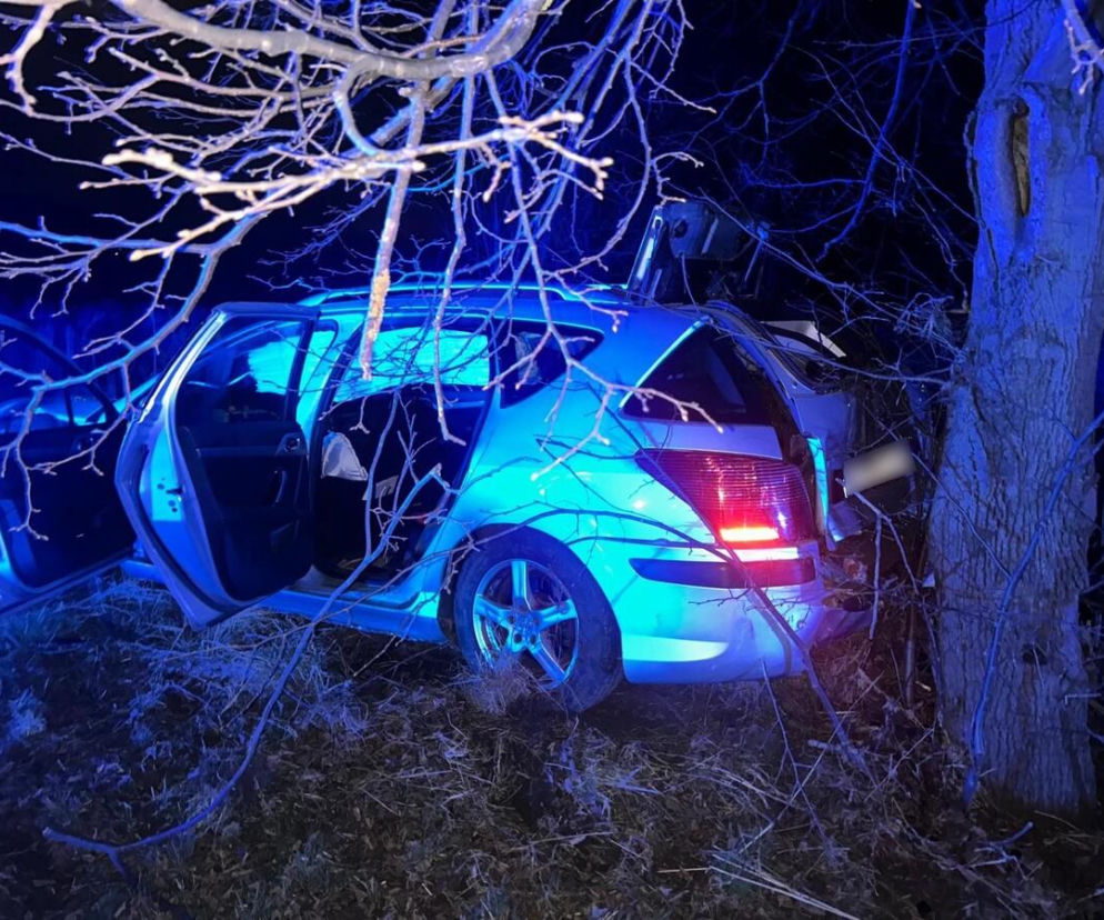 Pościg pod Białymstokiem. Pijany kierowca z dożywotnim zakazem zakończył ucieczkę na drzewie