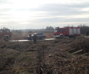 Lipno: Sarna była o krok od ŚMIERCI w mule! Uratowali ją strażacy