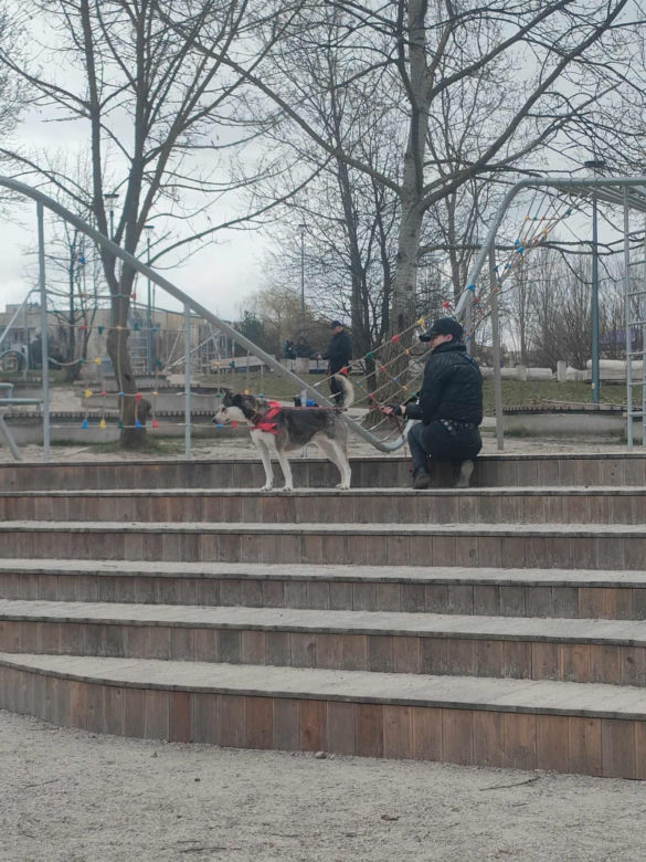Adoptuj warszawiaka 17.03