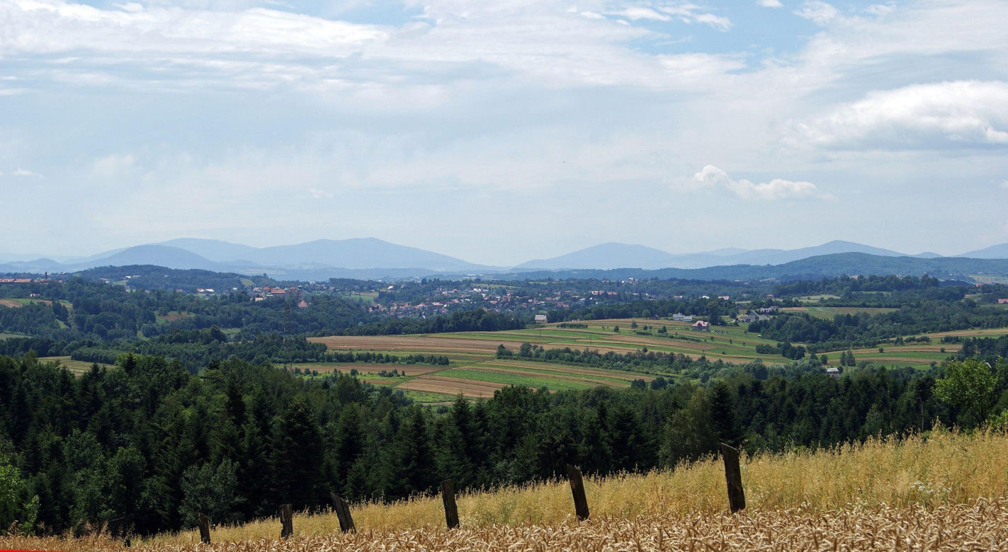 8. Nowy Wiśnicz 