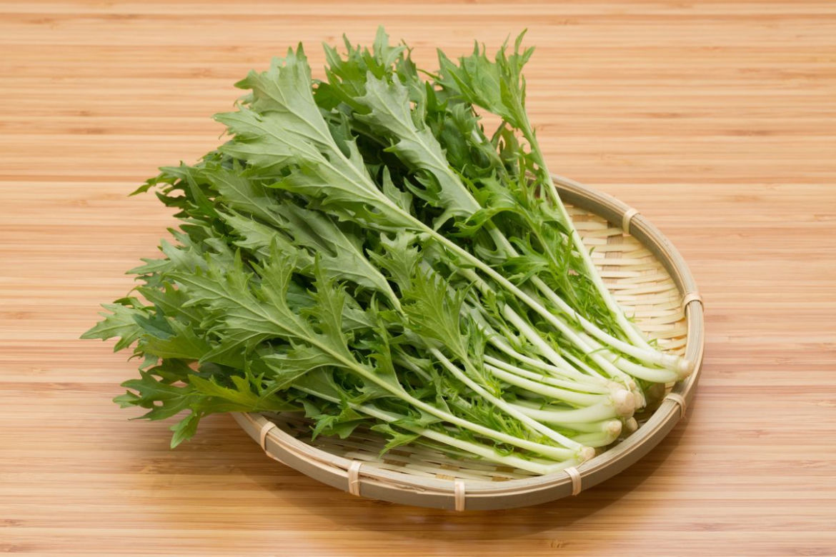 Mizuna