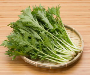 Mizuna