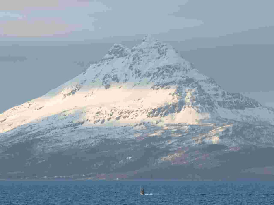 Manewry pk. "Arctic Dolphin 26"