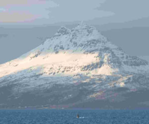 Manewry pk. Arctic Dolphin 26