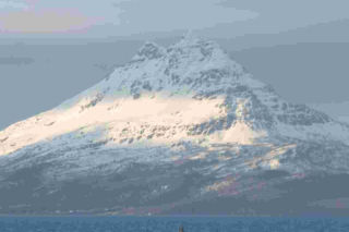 Manewry pk. Arctic Dolphin 26