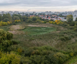 Wyschnięte Jeziorko Imielińskie w Warszawie