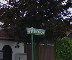 Calineczki