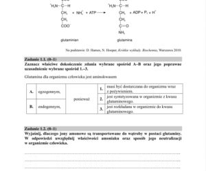 Matura próbna 2020 biologia, str.2