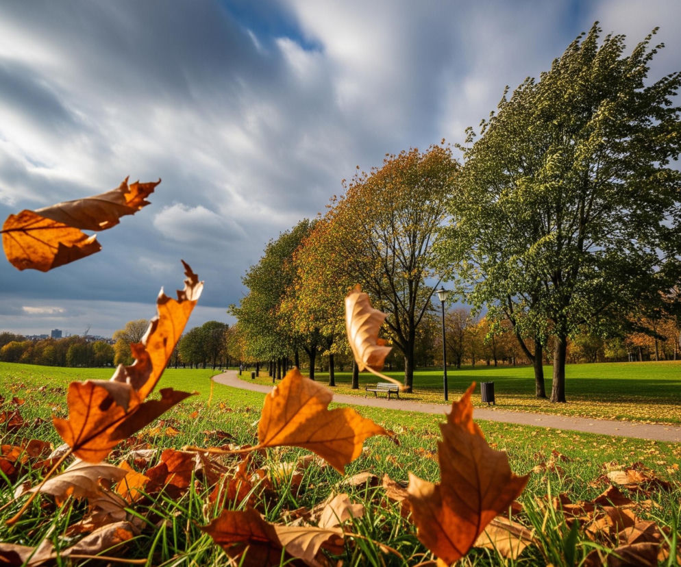 Kilka pomarańczowo-brązowych liści klonu unosi się w powietrzu na pierwszym planie, z innymi leżącymi na zielonej trawie. Długi, asfaltowy chodnik zakręca od prawej strony obrazu, biegnąc przez park, wzdłuż którego rosną drzewa z zielonymi, żółtymi i pomarańczowymi liśćmi. Po prawej stronie, na chodniku, idzie mężczyzna w ciemnej kurtce i niebieskich dżinsach, z czarnym plecakiem na plecach, zakrywając dłonią ucho. W tle, pod pochmurnym niebem, widoczne są budynki miejskie.