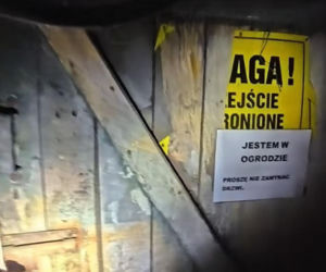 Pożar przy ul. Warszawskiej w Toruniu. Strażacy pokazali film z akcji. Wszystko widać!