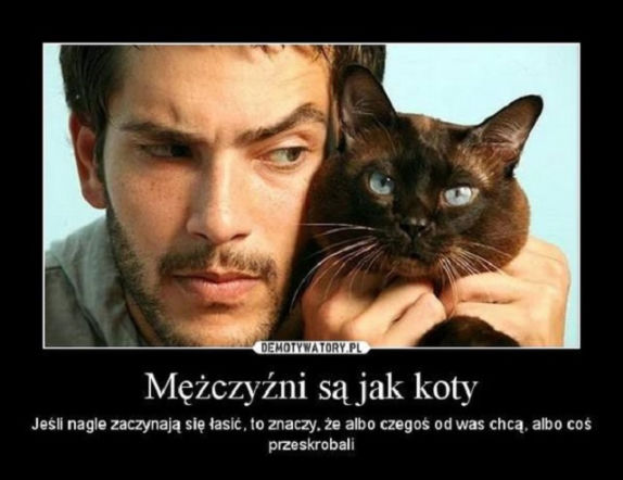 Dzień Mężczyzny - memy na święto wszystkich panów!