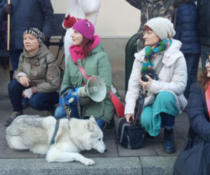 W Krakowie będą polować w najlepsze. Radni odrzucili rezolucję do władz województwa