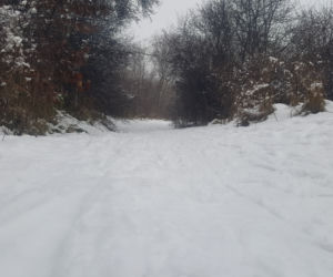 Zima na Górkach Fordońskich