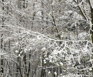 Pierwszy śnieg w regionie tarnowskim