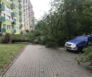 Jedną z dzielnic, któa ucierpiała najbardziej był Czechów Południowy