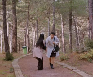 Miłość i nadzieja, odcinek 375. Cavidan, Bahar