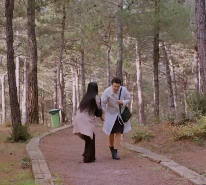 Miłość i nadzieja, odcinek 375. Cavidan, Bahar