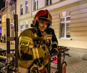 Szczeniak chodził po parapecie bloku. Strażacy ruszyli na pomoc [ZDJĘCIA]