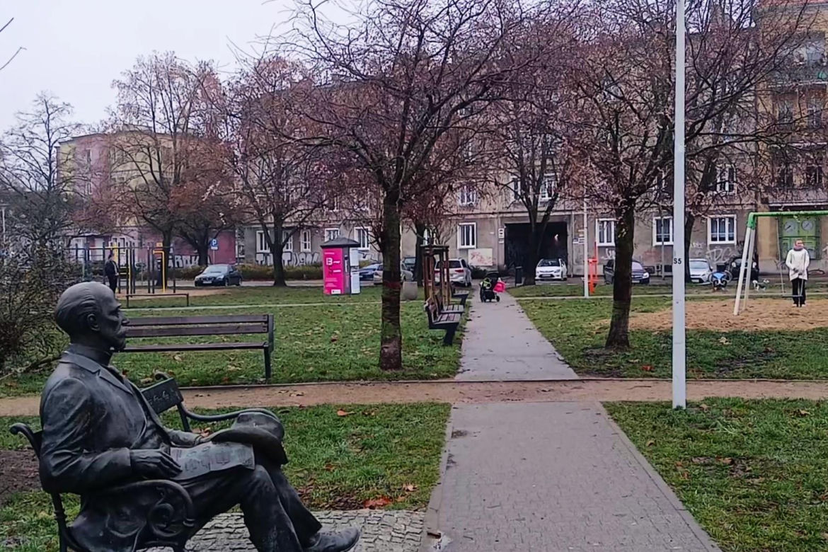 W grudniu w Szczecinie kwitną drzewa